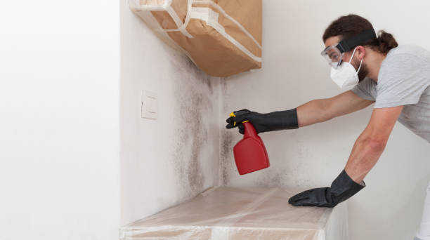 Professional Crawl Space Mold Remediation technician working in Lillington, NC