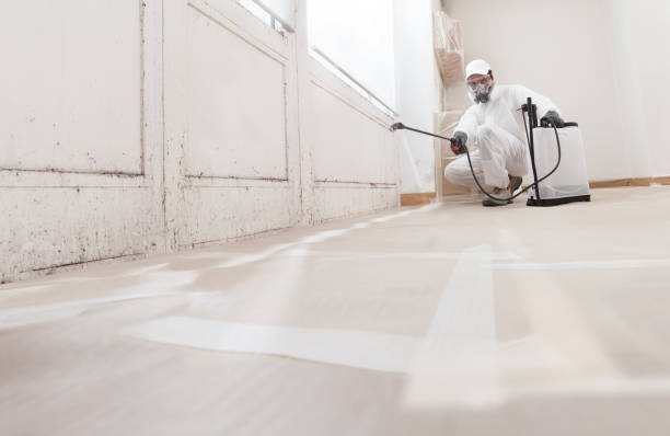 24/7 Emergency Crawl Space Mold Remediation experts in Lillington, NC