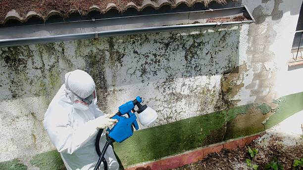 Top rated local Crawl Space Mold Remediation specialists in Lillington, NC
